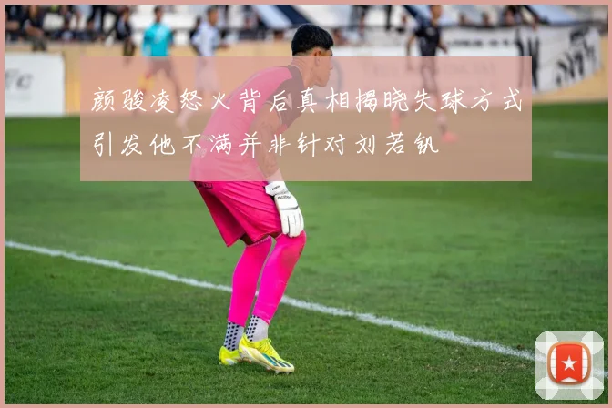 颜骏凌怒火背后真相揭晓失球方式引发他不满并非针对刘若钒