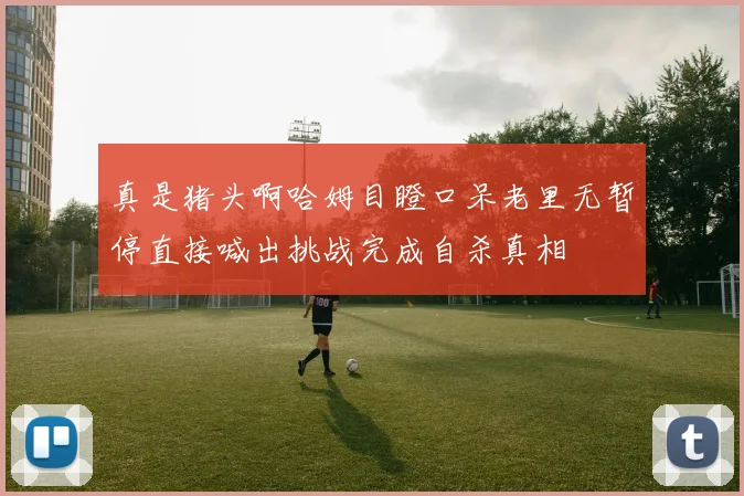 真是猪头啊哈姆目瞪口呆老里无暂停直接喊出挑战完成自杀真相